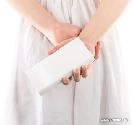 Внешний аккумулятор Xiaomi Mi Power Bank 2С 20000mAh (белый)